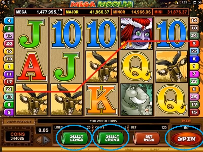 Mega Moolah - How To Play