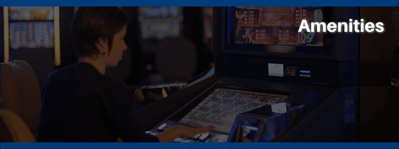 Online and Land-Based Casinos - Amenities