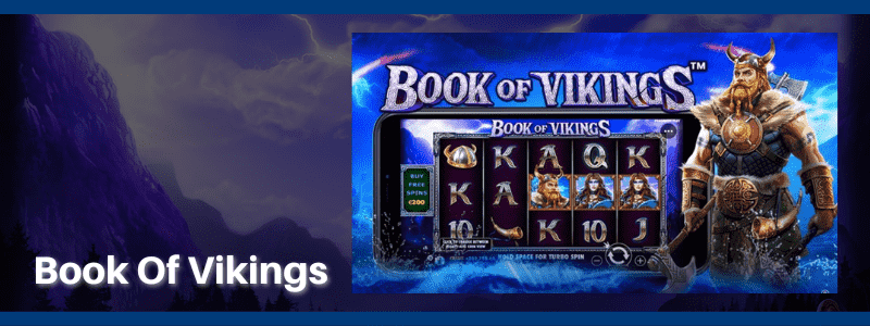 Book Of Vikings