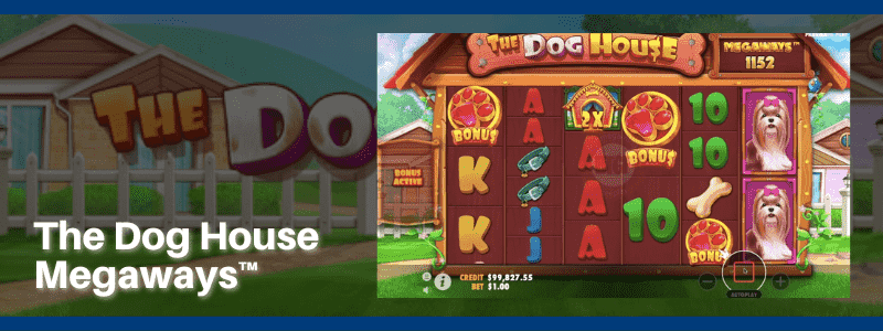 The Dog House Megaways™