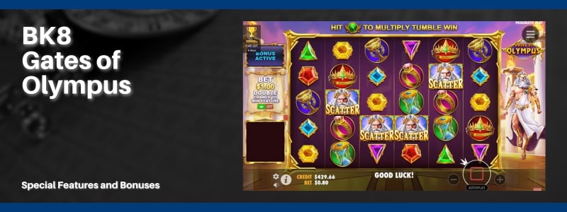 Special Features and Bonuses